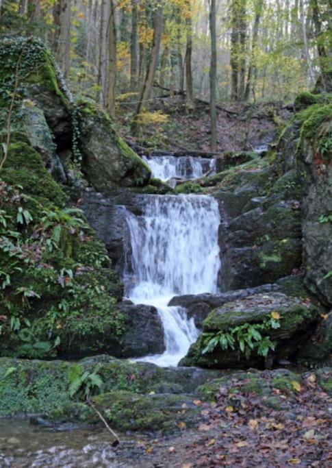 Laissez-Vous Enchanter Par La Vallee De La Meuse Hastiere-par-dela Eksteriør billede