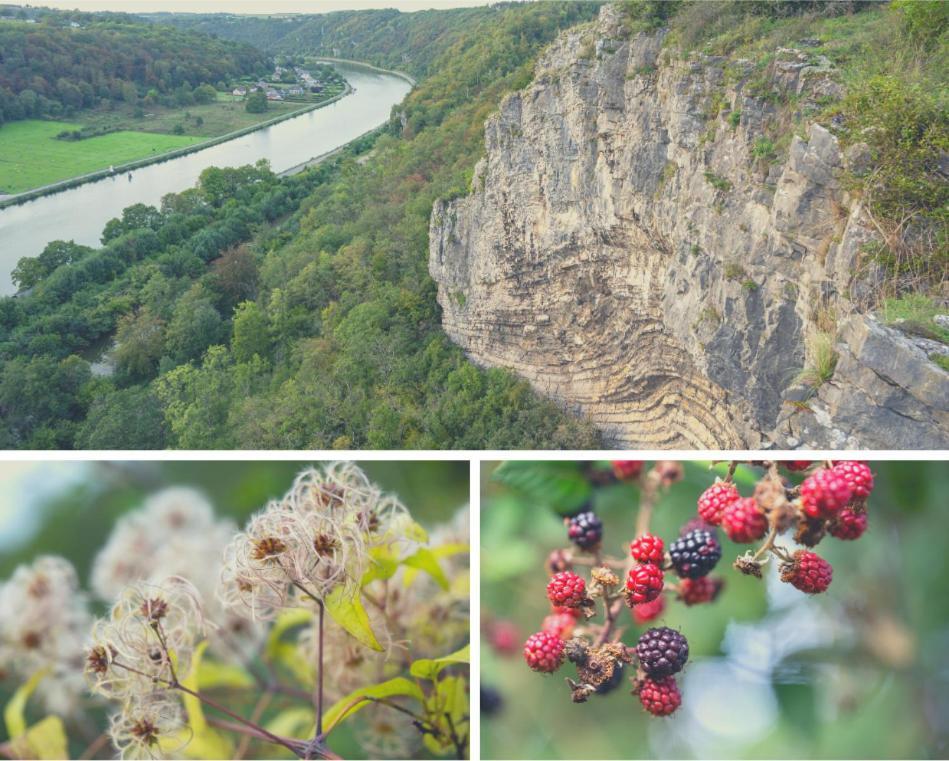 Laissez-Vous Enchanter Par La Vallee De La Meuse Hastiere-par-dela Eksteriør billede